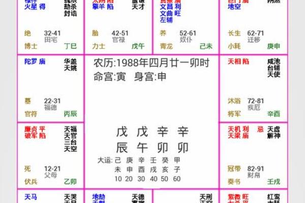 2025年3月26日丑时男命紫微斗数全解盘