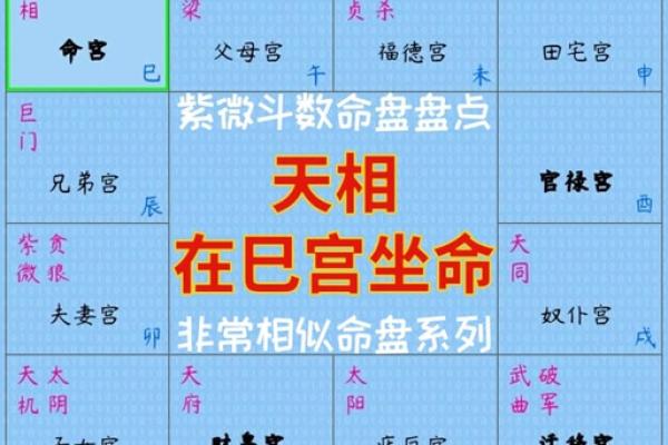 2025年3月21日子时女命紫微斗数全解盘