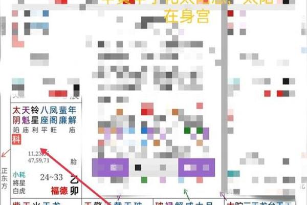 2025年2月25日寅时女命紫微斗数全解盘 2025年2月25日寅时女命紫微斗数全解盘