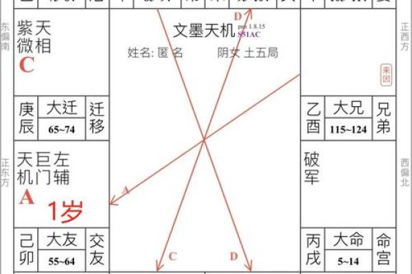 夫妻宫廉贞平 八字夫妻宫查询