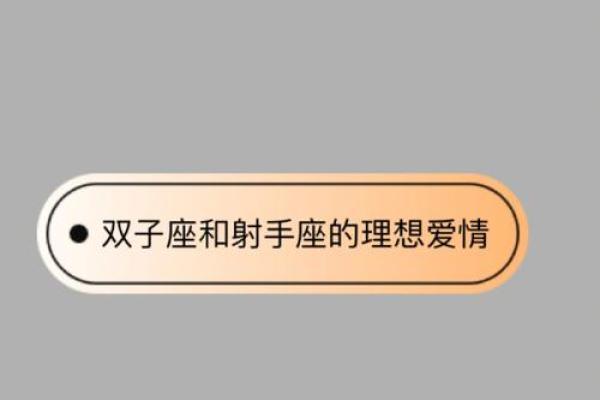 双子座男和射手女(双子座男和射手女谁会爱的更深)