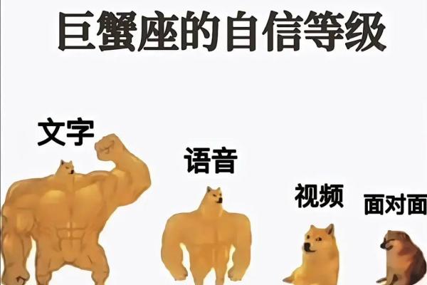 巨蟹座理想型(巨蟹座理想型陶白白)