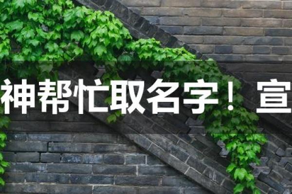 宣姓男孩名字大全-宣姓男孩起名字大全-宣姓名字大全姓名 宣姓男孩名字大全-宣姓男孩起名字大全-宣姓名字大全姓名