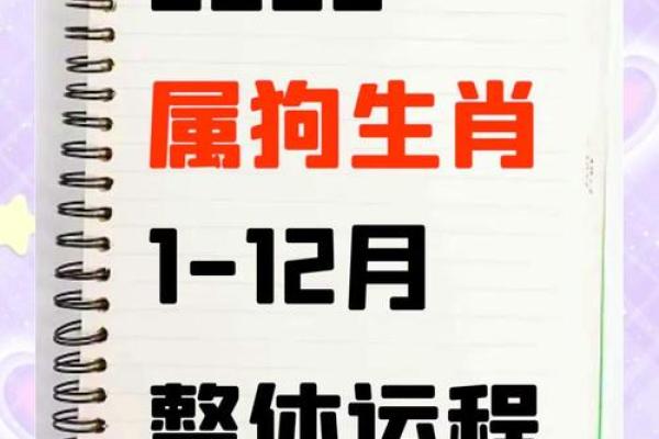 晚上八点出生的属狗男孩如何取名，宜用什么字姓名