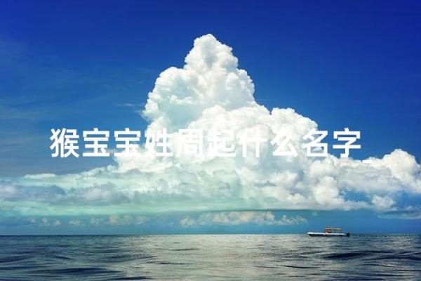 8月份出生的属猴男孩名字取什么好姓名
