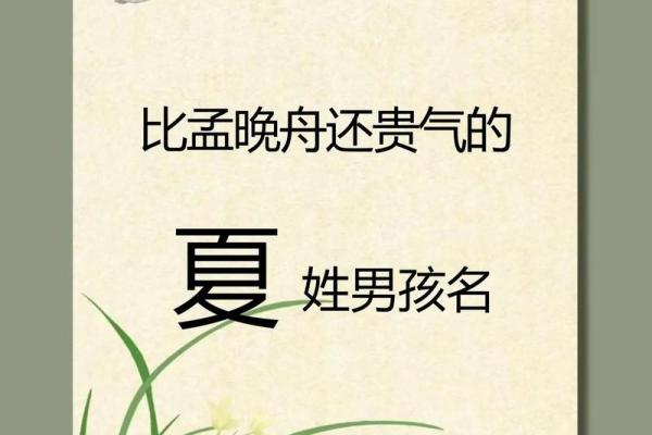 2019年3月20号巳时出生的男孩起名方法姓名