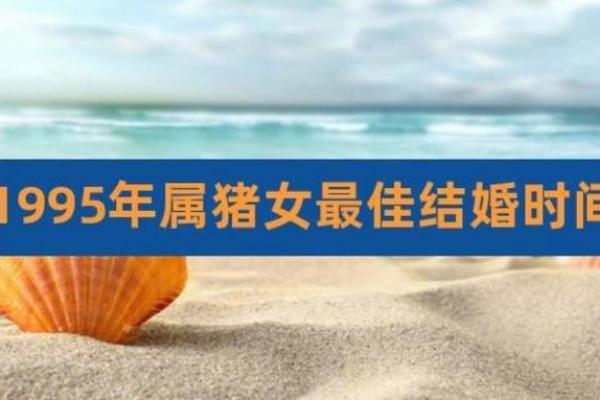 2025年属猪的几月结婚最佳 95年属猪的最佳配偶