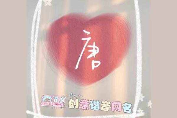 唐姓女孩名字大全-唐姓女孩起名字大全-唐姓名字大全姓名