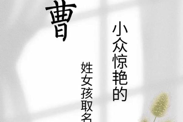 曹姓女孩名字大全-曹姓女孩起名字大全-曹姓名字大全姓名