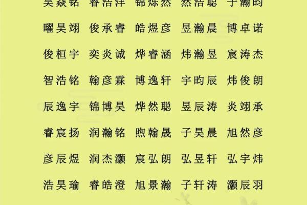 2月份出生的属猪男孩起什么名字好姓名