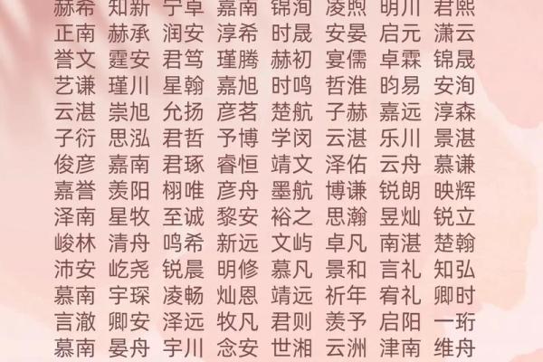 2019年4月30号寅时出生的男孩如何起名姓名