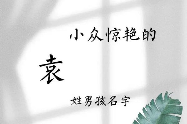 袁姓男孩名字大全-袁姓男孩起名字大全-袁姓名字大全姓名