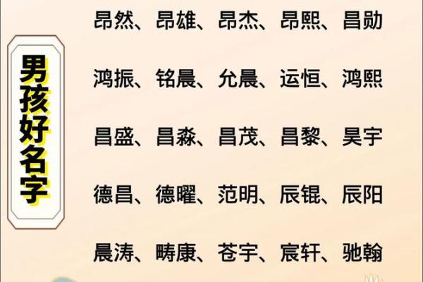 2019年4月13号寅时出生的男孩应该起什么样的名字姓名