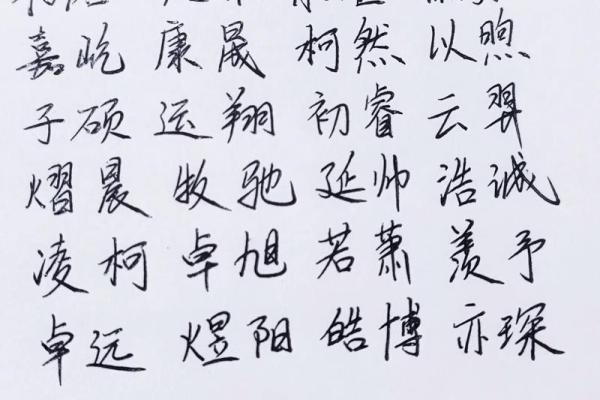 2019年3月25号子时出生的男孩如何起名姓名