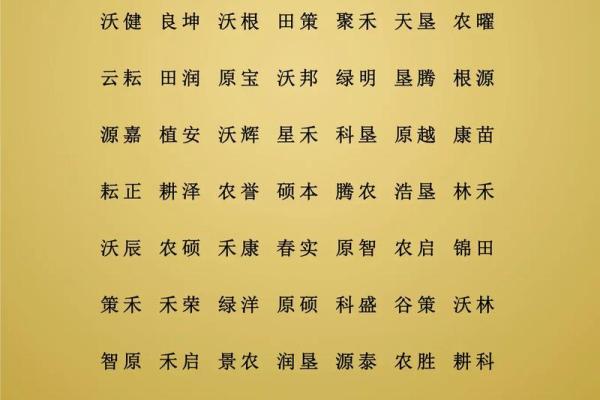 姓农的名人-姓名学-华易算命网姓名