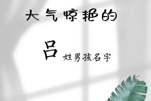 吕姓男孩名字大全-吕姓男孩起名字大全-吕姓名字大全姓名