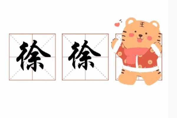 2019年出生的姓徐男孩如何起名，宜用什么字姓名