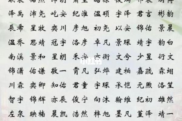 2019年6月6号卯时出生的男孩起名方法姓名