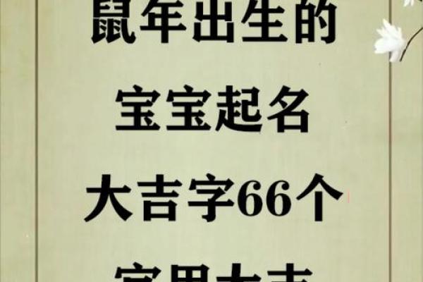 怎么给上午10点出生的属鼠男孩起名最好姓名