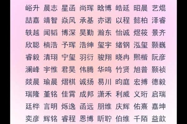 2019年5月5号子时出生的男孩要怎么起名字姓名