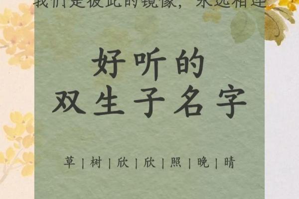 双胞胎男孩的名字和方法都有哪些-姓名学-华易网姓名 双胞胎男孩的名字和方法都有哪些-姓名学-华易网姓名