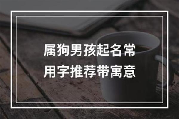 下午六点出生的属狗男孩如何取名,宜用什么字姓名 下午六点出生的属狗男孩如何取名,宜用什么字姓名